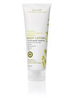 Acure Organics - Acure Organics Body Lotion Firming Lemongrass + Moroccan Argan Oil Tube 8 oz