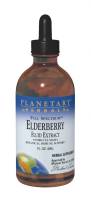 Planetary Herbals - Planetary Herbals Elderberry Fluid Extract 2 oz