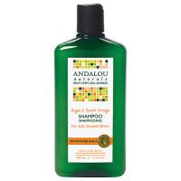 Andalou Naturals - Andalou Naturals Orange Argan Moisturizing Shampoo
