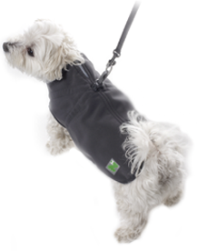 Pawz - Pawz Coat with Built-in Harness Size 16