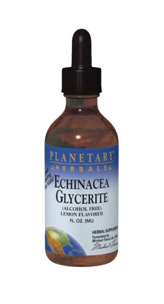 Planetary Herbals - Planetary Herbals Echinacea Glycerite 4 oz- Lemon