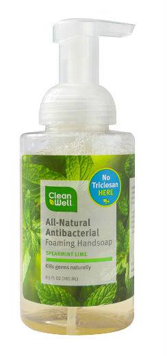 Cleanwell Company, Inc. - Cleanwell Company, Inc. Antibacterial Foaming Hand Soap Ginger Bergamot 9.5 oz