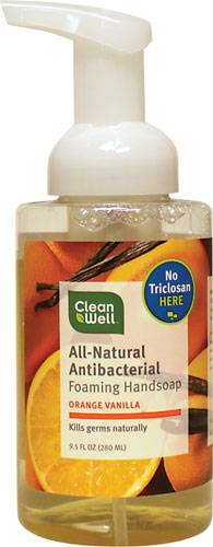 Cleanwell Company, Inc. - Cleanwell Company, Inc. Antibacterial Foaming Hand Soap Orange Vanilla 9.5 oz