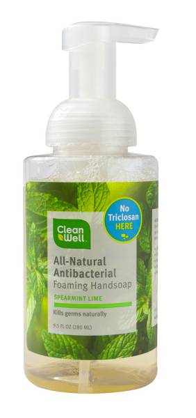 Cleanwell Company, Inc. - Cleanwell Company, Inc. Antibacterial Foaming Hand Soap Spearmint Lime 9.5 oz
