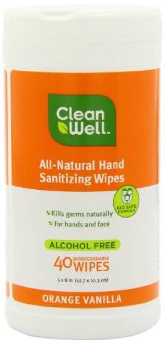 Cleanwell Company, Inc. - Cleanwell Company, Inc. Hand Sanitizing Wipes Original in Canister (40 ct)