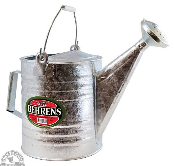 Down To Earth - Behrens Galvanized Steel Watering Can 2.5 gal