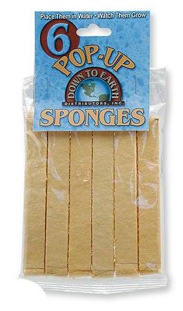 BIH Collection - BIH Collection Pop-Up Sponges 1/2" (6 Pack)