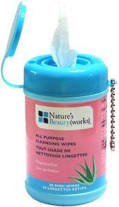Nature's Beauty Works - Nature's Beauty Works All Purpose Wipes Peppermint Scent 30 ct