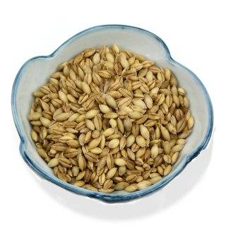 Goldmine - Goldmine Organic Golden Waxy Barley 25 lb