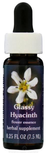 Flower Essence Services - Flower Essence Services Glassy Hyacinth Dropper 0.25 oz