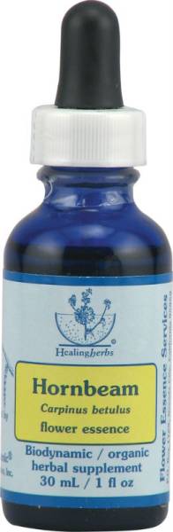 Flower Essence Services - Flower Essence Services Hornbeam Dropper 0.25 oz