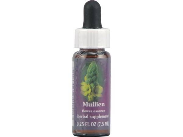 Flower Essence Services - Flower Essence Services Mullein Dropper 0.25 oz