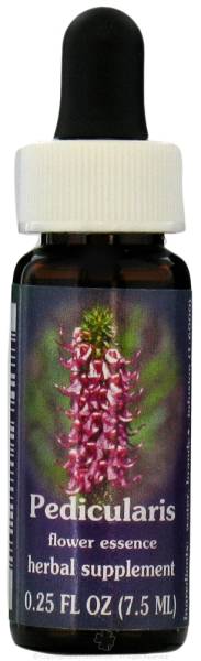 Flower Essence Services - Flower Essence Services Pedicularis Dropper 0.25 oz