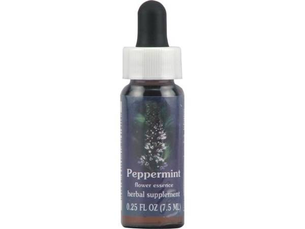 Flower Essence Services - Flower Essence Services Peppermint Dropper 0.25 oz