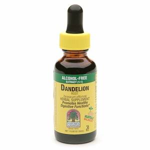 Nature's Answer - Nature's Answer Dandelion Root Alcohol Free Extract 1 oz