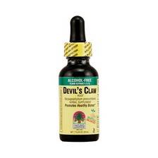 Nature's Answer - Nature's Answer Devil's Claw Alcohol Free Extract 1 oz