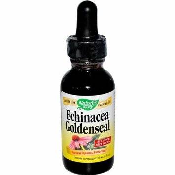 Nature's Answer - Nature's Answer Echinacea-Goldenseal Alcohol Free Extract 1 oz
