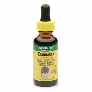 Nature's Answer - Nature's Answer Echinacea Alcohol Free Extract 1 oz