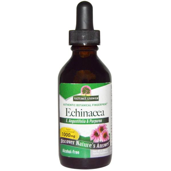 Nature's Answer - Nature's Answer Echinacea Alcohol Free Extract 2 oz