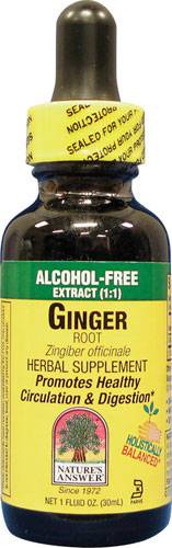 Nature's Answer - Nature's Answer Ginger Root Alcohol Free Extract 1 oz