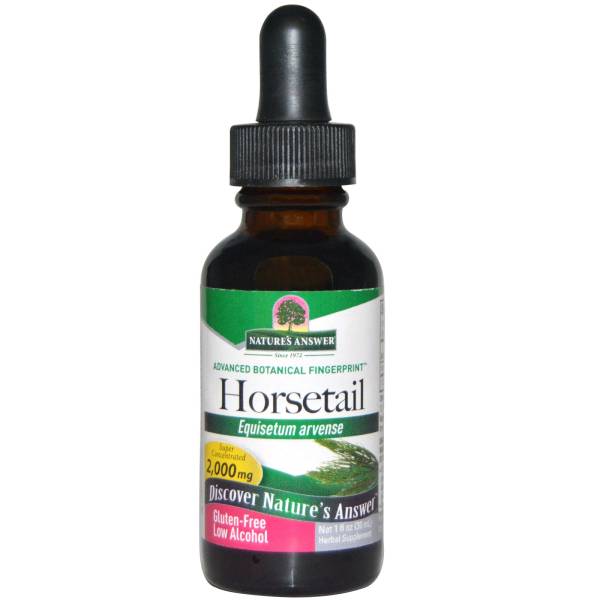 Nature's Answer - Nature's Answer Horsetail Alcohol Free Extract 1 oz