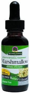 Nature's Answer - Nature's Answer Marshmallow Root Alcohol Free Extract 1 oz