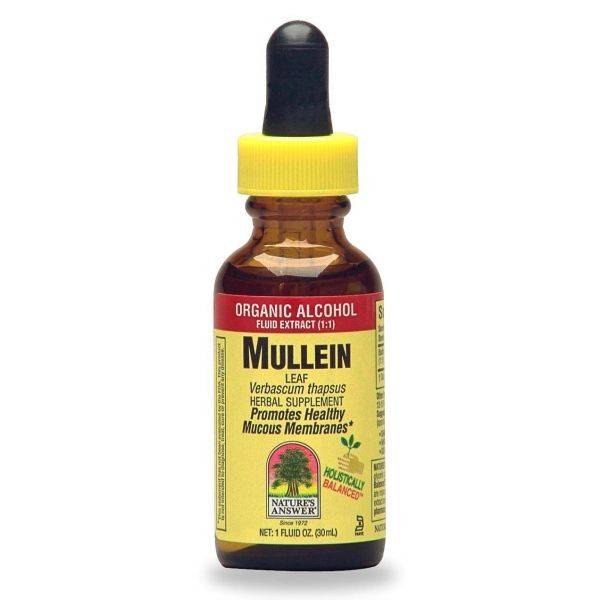 Nature's Answer - Nature's Answer Mullein Leaves Alcohol Free Extract 1 oz