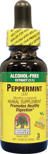 Nature's Answer - Nature's Answer Peppermint Herb Alcohol Free Extract 1 oz