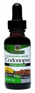 Nature's Answer - Nature's Answer Codonopsis Alcohol Free 1 oz