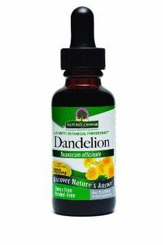 Nature's Answer - Nature's Answer Dandelion Root Extract 1 oz