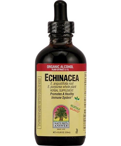 Nature's Answer - Nature's Answer Echinacea Fresh Extract 4 oz