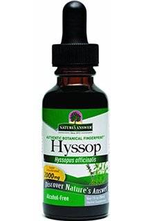 Nature's Answer - Nature's Answer Hyssop Herb Extract 2 oz