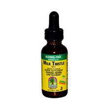 Nature's Answer - Nature's Answer Milk Thistle Extract 1 oz