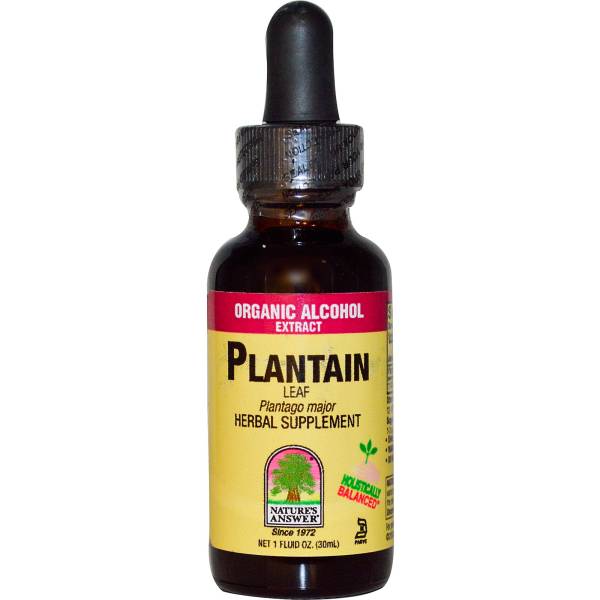 Nature's Answer - Nature's Answer Plantain Leaves Extract 1 oz