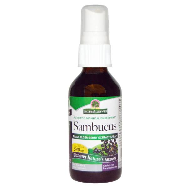 Nature's Answer - Nature's Answer Sambucus Extract Spray 2 oz