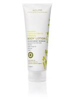 Health & Beauty - Bath & Body - Acure Organics - Acure Organics Body Lotion Firming Lemongrass + Moroccan Argan Oil Tube 8 oz