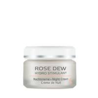 Annemarie Borlind Rose Dew Night Cream 1.69 oz