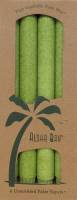 Candles - Vegetable Wax Candles - Aloha Bay - Aloha Bay Candle 9" Taper (4 ct)- Melon Green