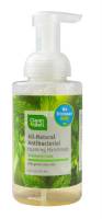 Cleanwell Company, Inc. Antibacterial Foaming Hand Soap Ginger Bergamot 9.5 oz