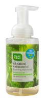 Cleanwell Company, Inc. Antibacterial Foaming Hand Soap Spearmint Lime 9.5 oz
