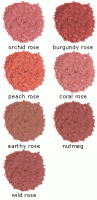 Makeup - Blush & Bronzers - Ecco Bella - Ecco Bella FlowerColor Blush - Coral Rose
