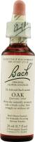 Gluten Free - Health & Personal Care - Bach Flower Essences - Bach Flower Essences Flower Essence Oak 20 ml