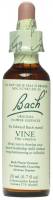 Gluten Free - Health & Personal Care - Bach Flower Essences - Bach Flower Essences Flower Essence Vine 20 ml