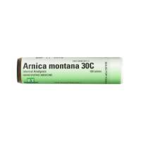 Homeopathy - Pain Relief - Boericke & Tafel - Boericke & Tafel Arnica Montana 30C 100 tab