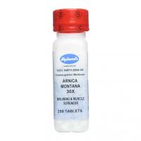Homeopathy - Pain Relief - Hylands - Hylands Arnica Montana 30X 250 tab