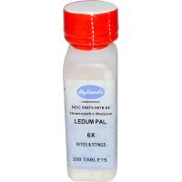 Homeopathy - Skin Care - Hylands - Hylands Ledum Palustre 6X 250 tab