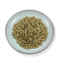Macrobiotic - Beans & Lentils - Goldmine - Goldmine Organic Green Lentils 25 lb