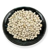 Goldmine Organic Navy Beans Heirloom Quality 1 lb