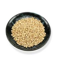 Macrobiotic - Grains - Goldmine - Goldmine Organic Soft White Pastry Wheat Heirloom Quality 1 lb