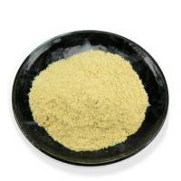 Goldmine Organic Yellow Corn Masa 2 lb